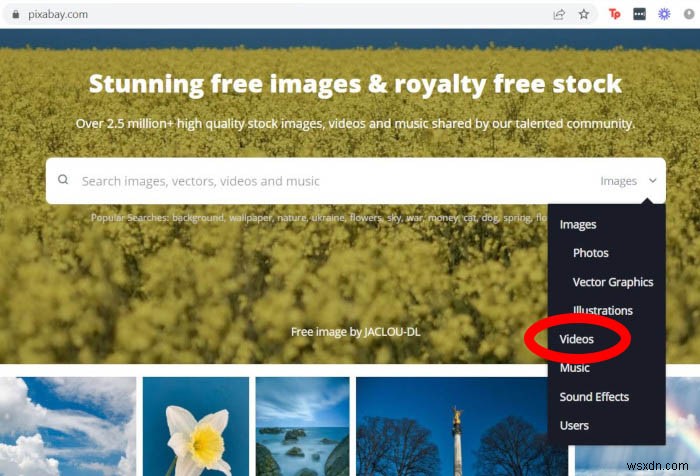 10 Websites to Find Creative Commons Videos