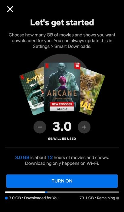 How to Download Netflix Content to Watch Offline