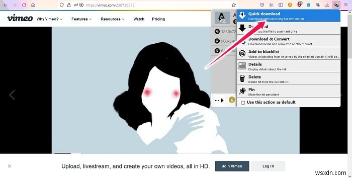 How to Easily Download Streaming Video on Any Platform