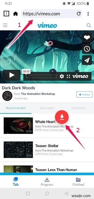 How to Easily Download Streaming Video on Any Platform