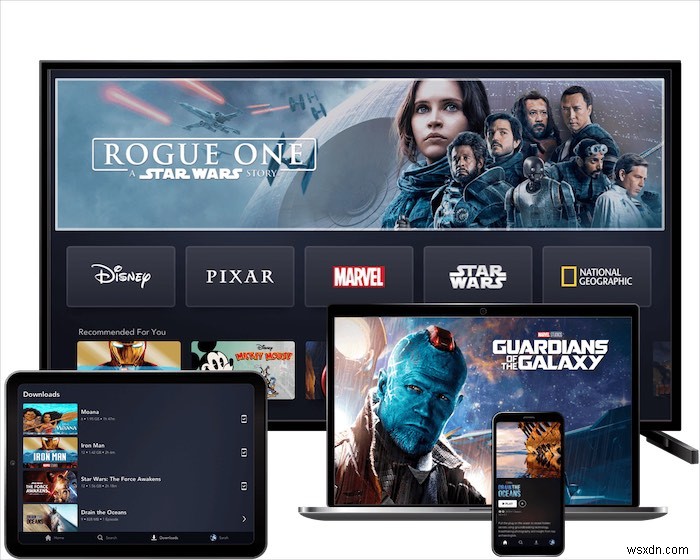 What to Expect When You Sign Up for Disney+