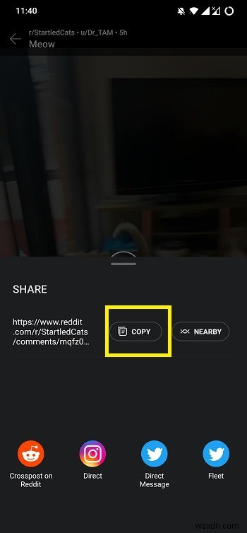 How to Download Reddit Videos