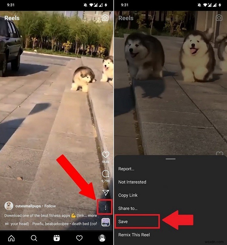 The 5 Best Ways to Download Instagram Reels