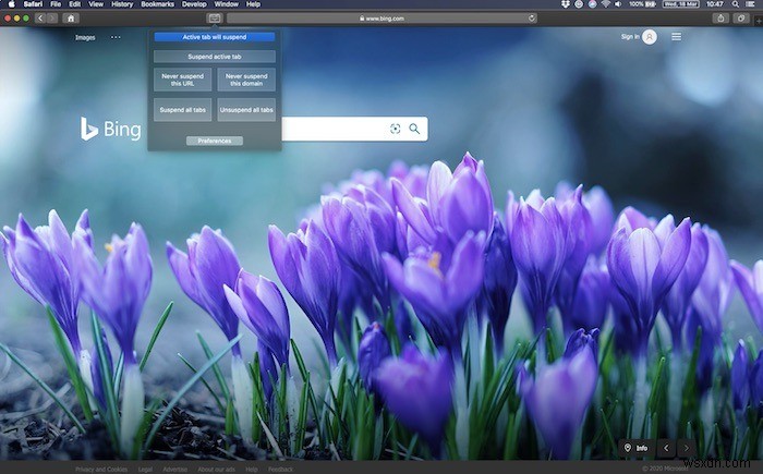 Best Safari Extensions for macOS Users