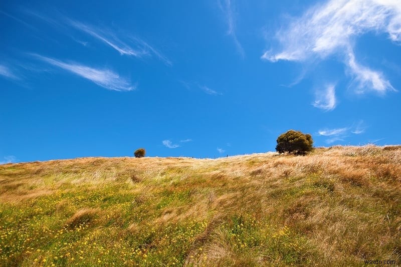 How to Take Awesome Instagram Photos with 6 Simple Steps