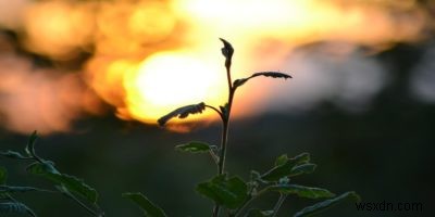 How to Take Awesome Instagram Photos with 6 Simple Steps