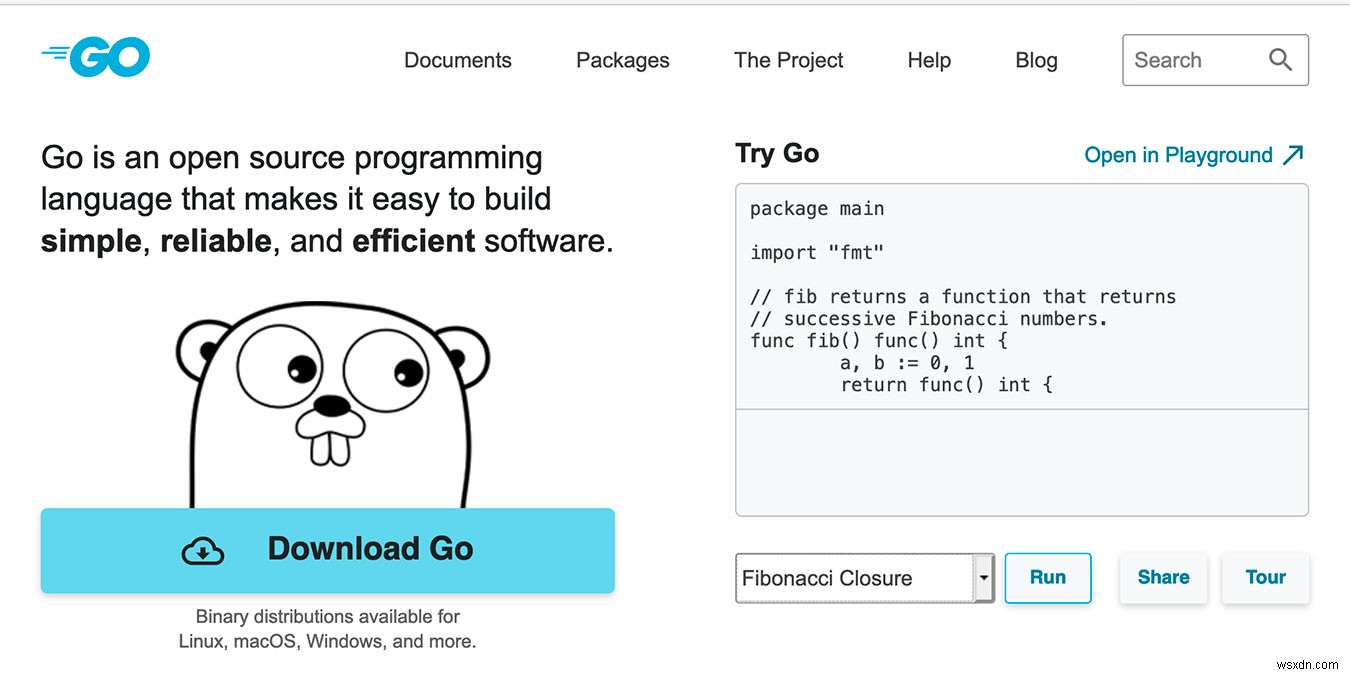 Golang vs. Java: The Programming Showdown