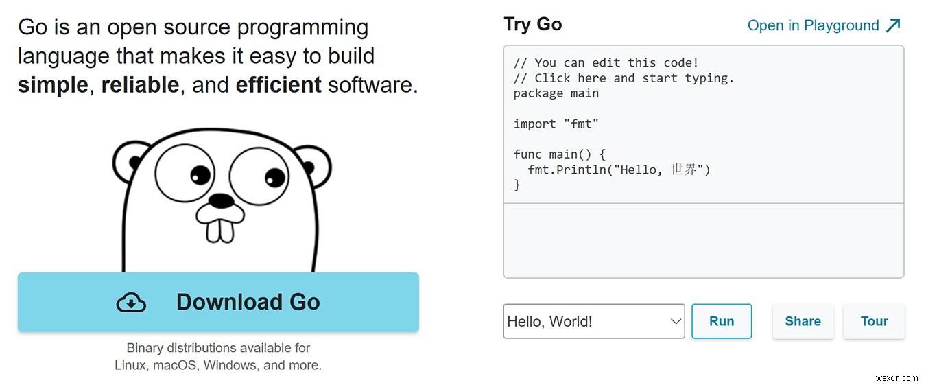 Golang vs Python: Which Is Best for Your Programming Needs?