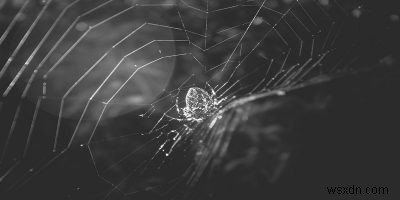 How to Access and Browse the Dark Web