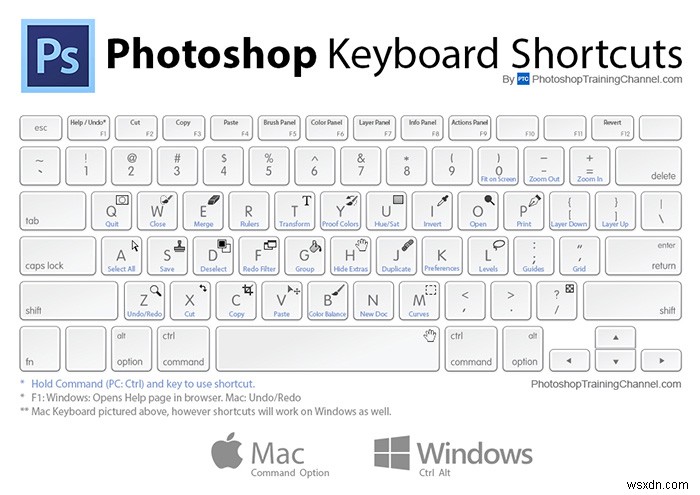 Intermediate Tech Literacy: The Skills You Need to Be Savvy