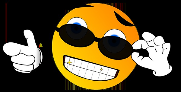 The Stories Behind .unicorn, .ninja, and Other Bizarre Domain Extensions