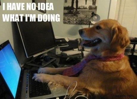 The Stories Behind .unicorn, .ninja, and Other Bizarre Domain Extensions