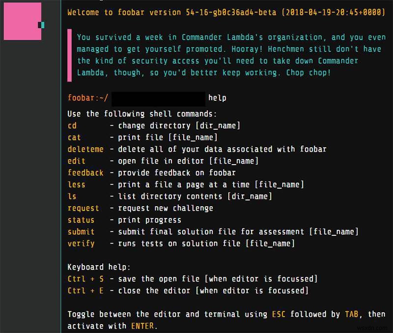 Foobar: Google’s Open-Secret Hiring Program