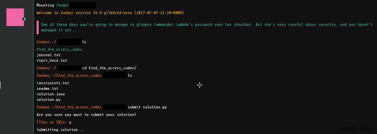 Foobar: Google’s Open-Secret Hiring Program