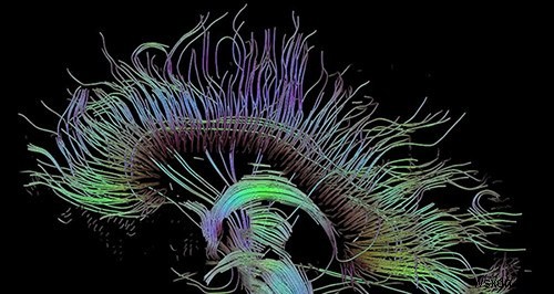 5 Useful Tools to Help You Spot Fake News