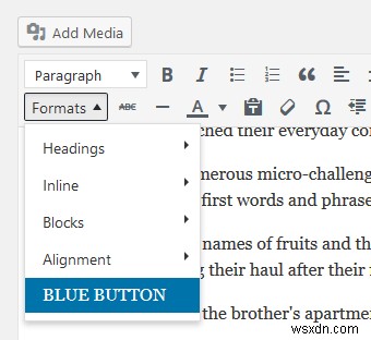 How to Add Custom Style Options to WordPress Post Editor
