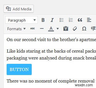 How to Add Custom Style Options to WordPress Post Editor
