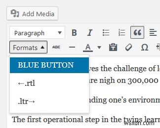 How to Add Custom Style Options to WordPress Post Editor