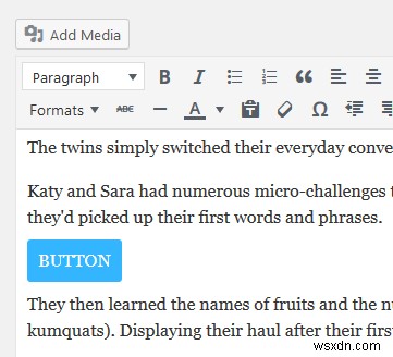 How to Add Custom Style Options to WordPress Post Editor