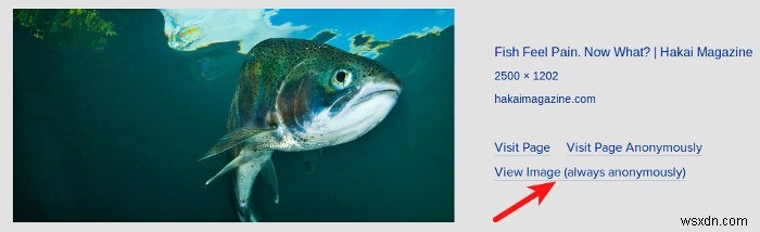 How to Revive the “View Image” Button In Google Image Search