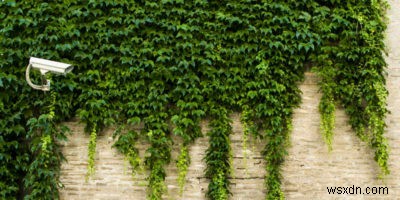 How to Search Google Anonymously on Firefox While Staying Signed In