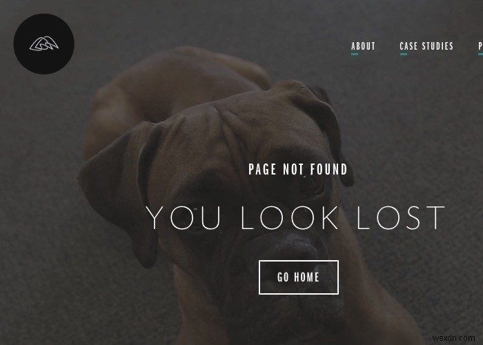 Designing Fun and Creative WordPress 404 Pages