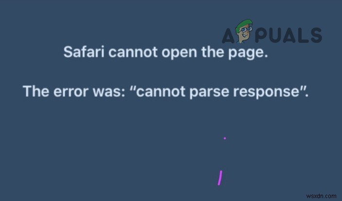 Cannot Parse Response in Safari? Here’s How to Fix