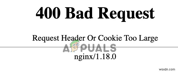 Request Header or Cookie Too Large Error? Here’s How to Fix