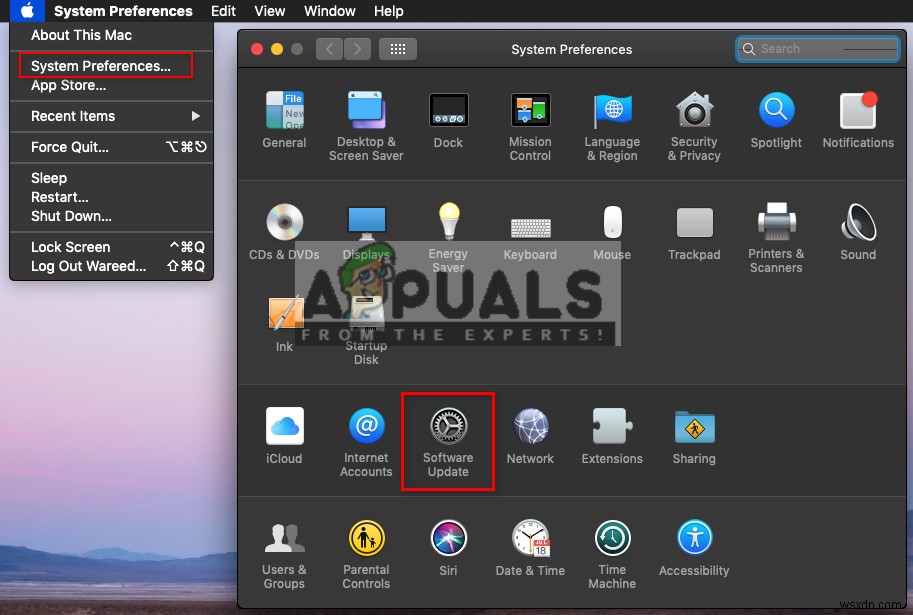 How to Fix Safari not Remembering Clicked or Previously Visited Links