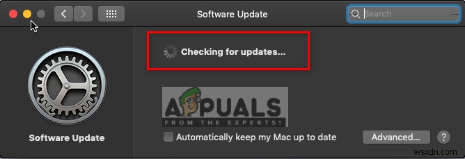 How to Fix Safari not Remembering Clicked or Previously Visited Links