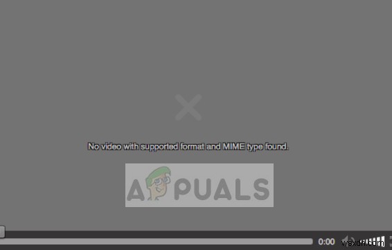 How to Fix No Video with Supported Format and MIME type found