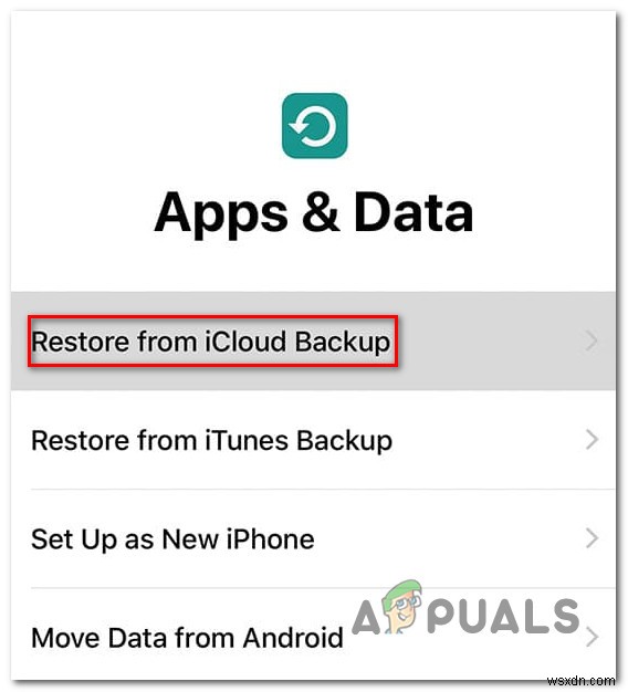 How to Recover Deleted Text Messages on iPhone?