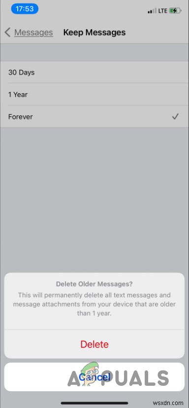 What is iPhone Other storage and how do you get rid of it?