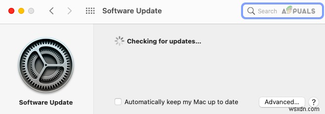 Why Every Mac Owner should Update to macOS BigSur 11.5.1