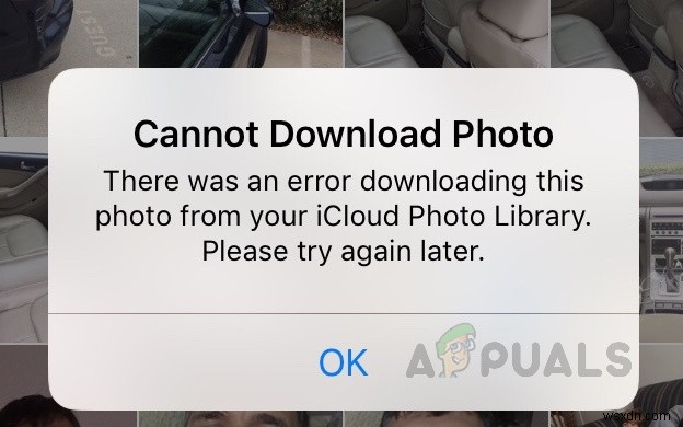 [FIX] Error Downloading This Photo From Your iCloud Library