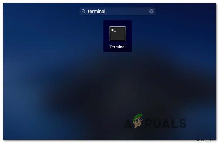 [FIX] Error When Opening Word or Outlook on Mac (EXC_BAD_INSTRUCTION)