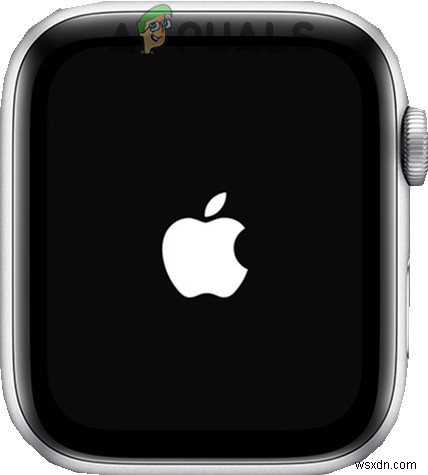 Apple Watch Stopped Vibrating for Alarms and Notifications