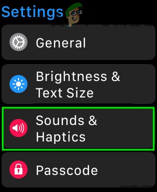 Apple Watch Stopped Vibrating for Alarms and Notifications