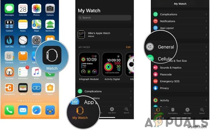 Apple Watch Stopped Vibrating for Alarms and Notifications