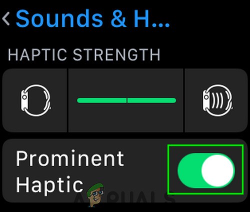 Apple Watch Stopped Vibrating for Alarms and Notifications