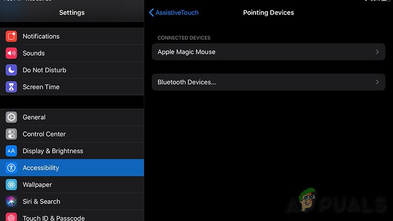 How to Use a Mouse with Your iPad or iPhone?
