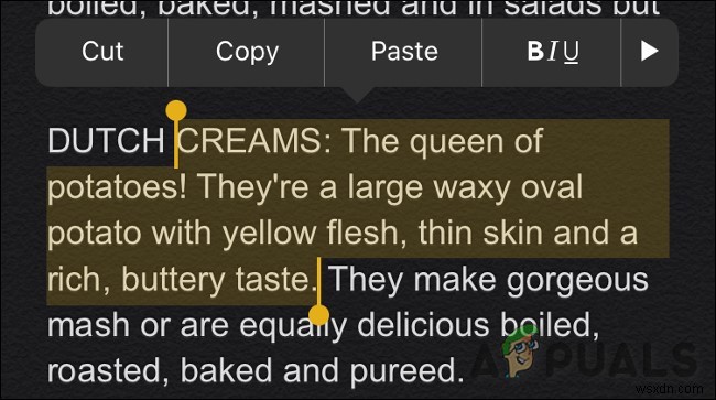 How to Use a Mouse with Your iPad or iPhone?