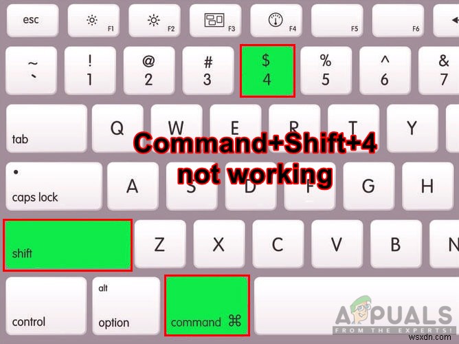 How to Fix Command Shift 4 Shortcut not Working on MacOS