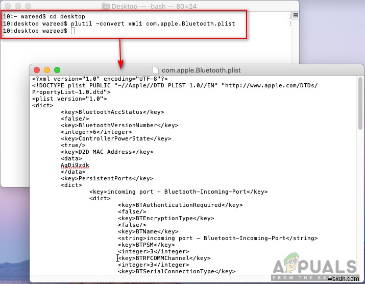 What are PLIST Files and is it Safe to Delete them?