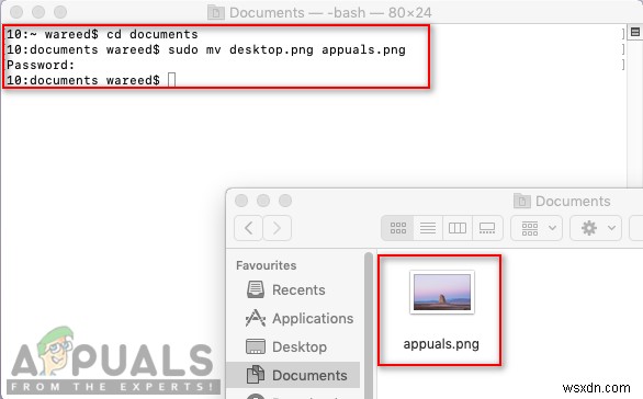 How to Fix ‘Error Code – 8076’ on macOS