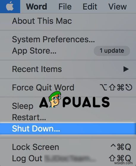Fix: No Camera Available on MacOS