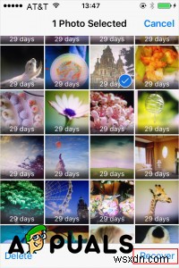 How to Recover Deleted Photos from iPhone