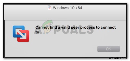 Fix: Cannot find a Valid Peer Process to Connect To