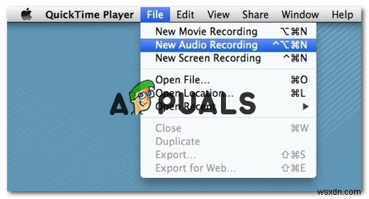 How to Record Voice on a MacOS