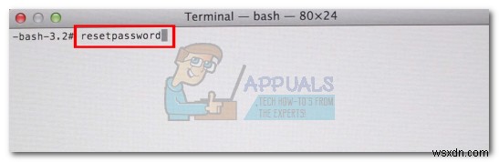 Fix: Office 2016 Grant Access Error on MacOS